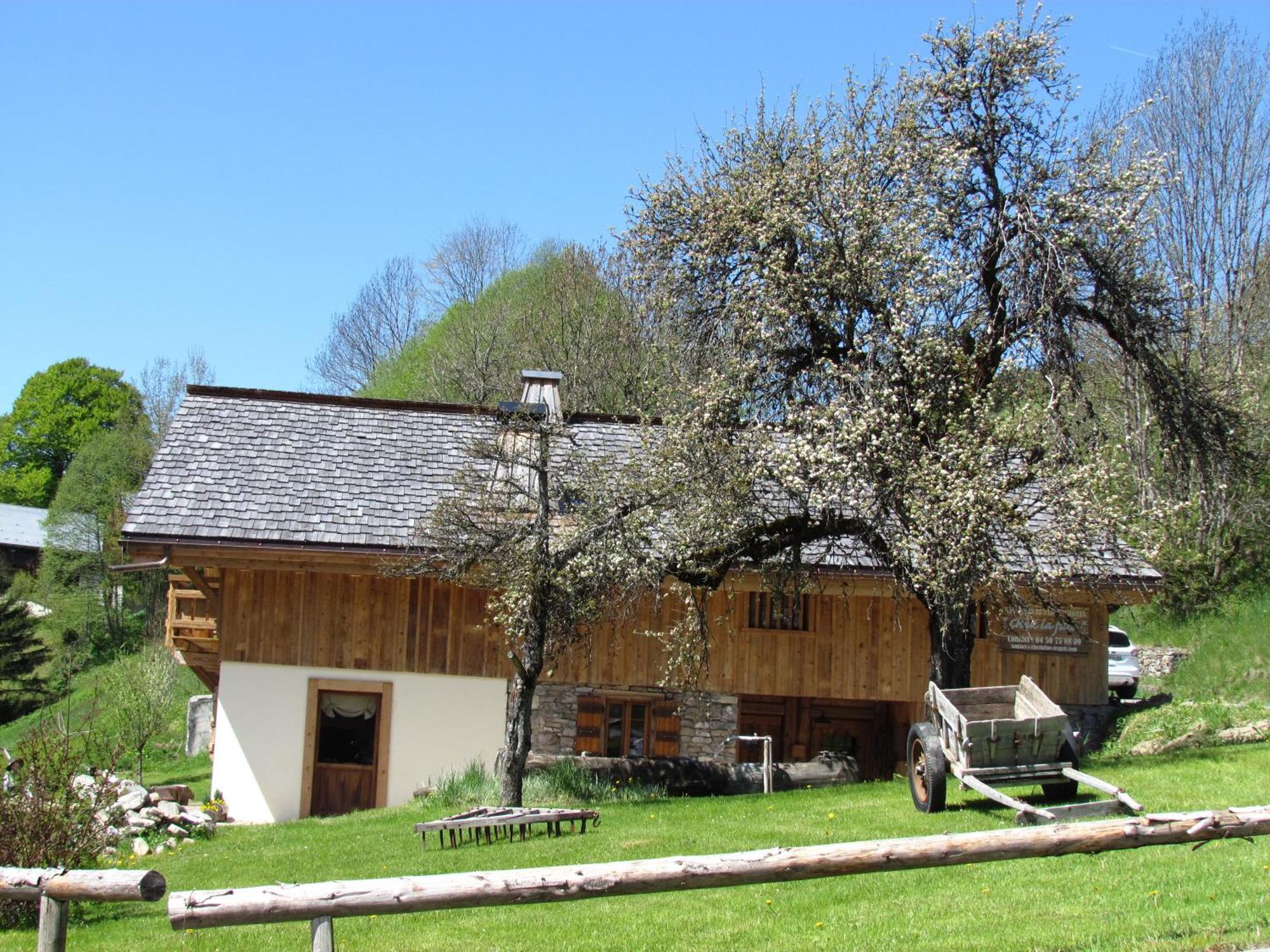 Chez La Fine Bed and Breakfast Les Gets Buitenkant foto